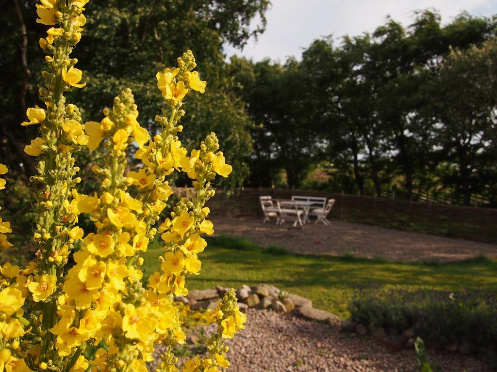 Bed and Breakfast Augustas Bed&Breakfast Falkenberg Exterior foto