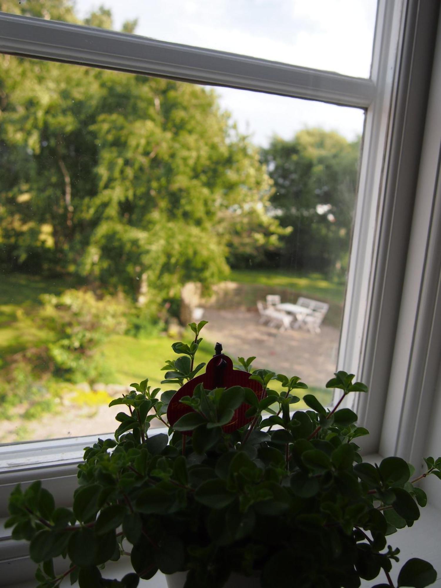 Bed and Breakfast Augustas Bed&Breakfast Falkenberg Zimmer foto